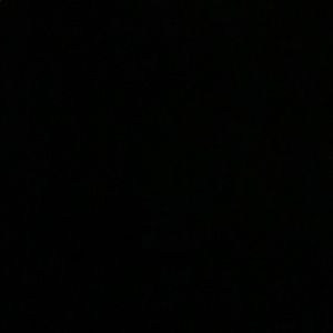 Meet your Posher, Jake